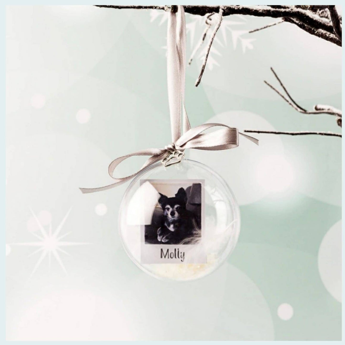 Personalised Pet Christmas Bauble